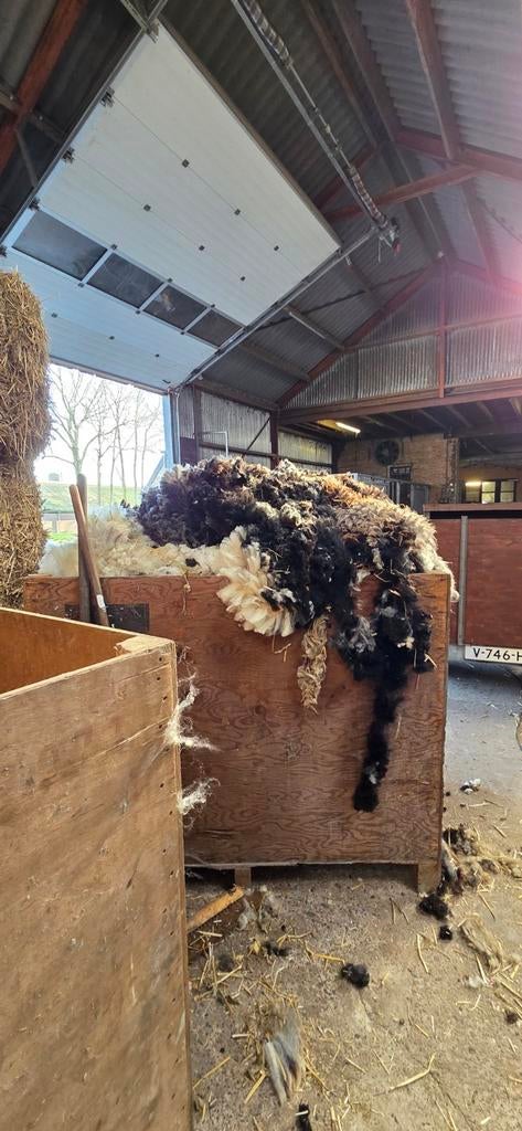 Wol, wit en bont, niet schoon, Hobby en Vrije tijd, Stoffen en Lappen, Ophalen, Gebruikt, Wol, Overige kleuren