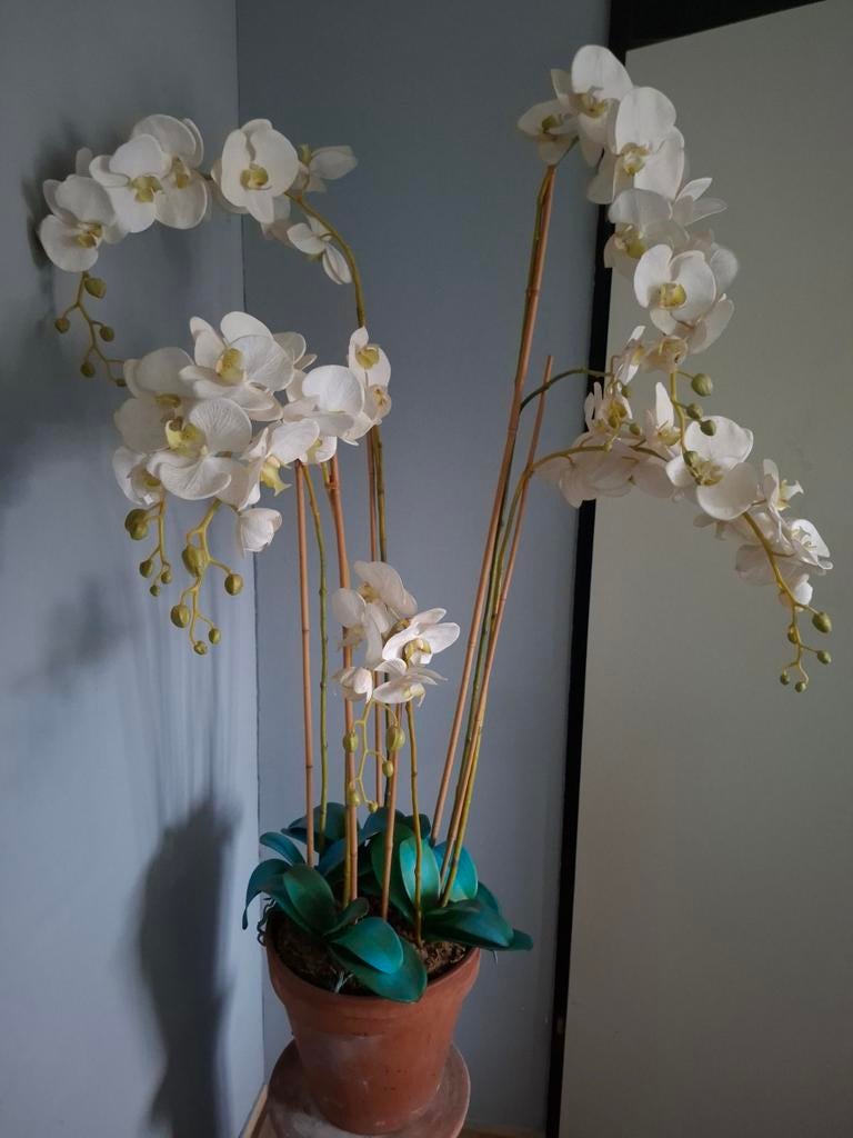 1 meter hoog Grote kunstof orchidee plant mooie kwaliteit, Ophalen of Verzenden