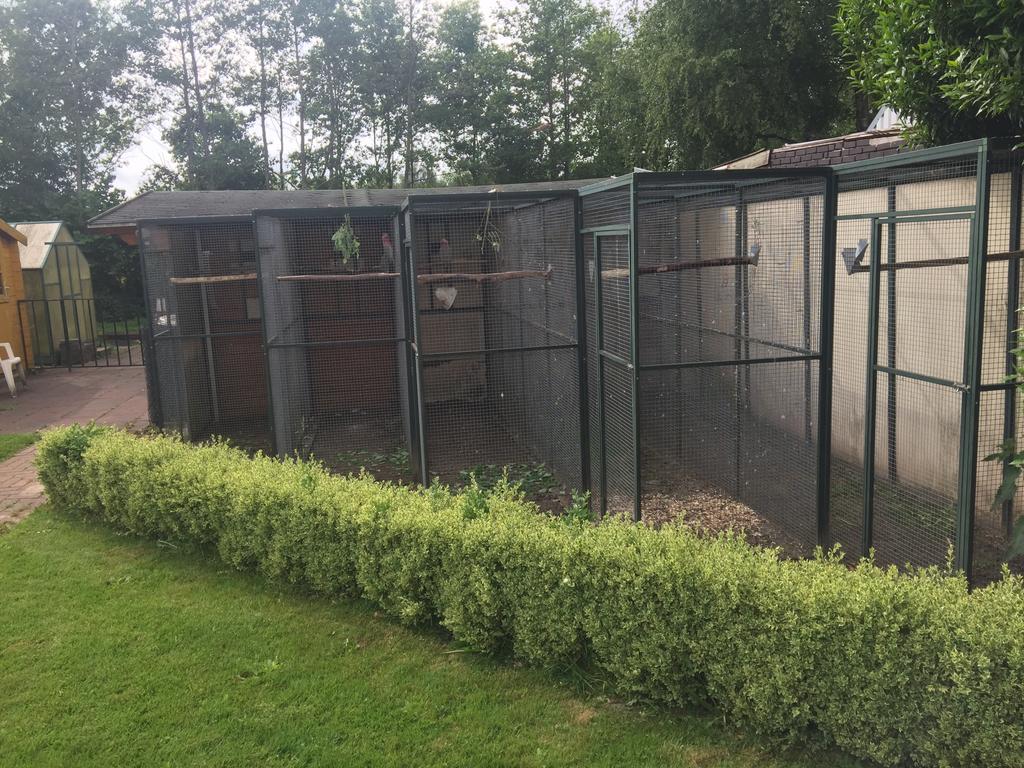 Te koop volièrepanelen, Dieren en Toebehoren, Vogels | Hokken en Kooien, Gebruikt, Volière, Aluminium, Ophalen