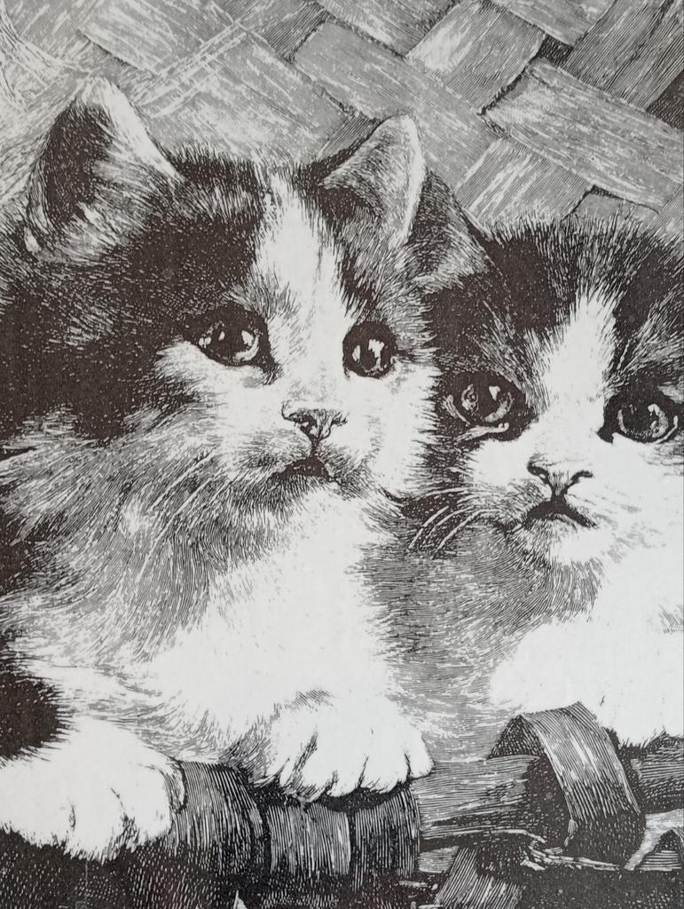 Prent 2 jonge katjes kittens in een mand, Verzenden