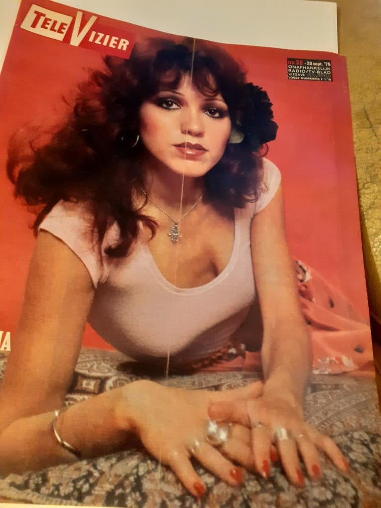 Gezocht: TeleVizier nummer 38 van 1975., Verzamelen, Ophalen of Verzenden, 1960 tot 1980, Tijdschrift