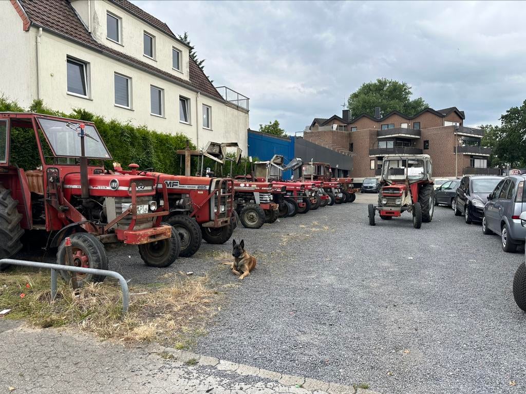 Gezocht  MF Massey Ferguson 165 168 178 185 188 265 275 285, Ophalen of Verzenden, Gebruikt, Tot 80 Pk, Massey Ferguson