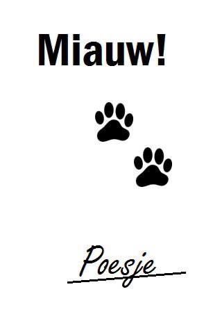 Zoekende voor een kater of poes, Kater