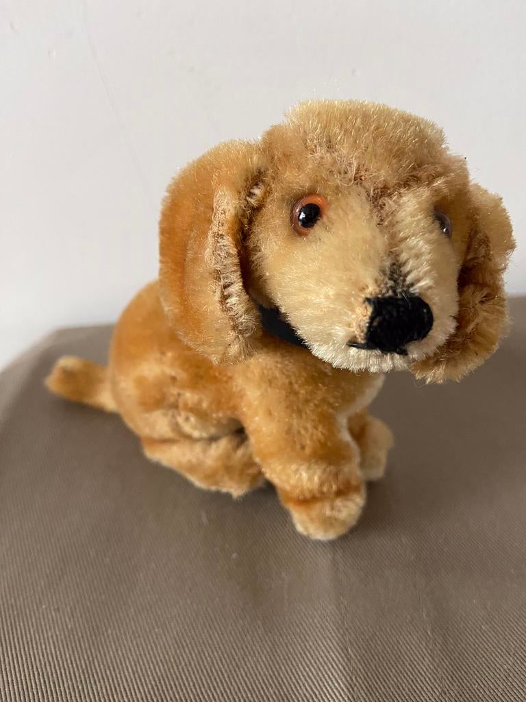 Steiff Bazi, jonge teckel, 3310, Ophalen of Verzenden