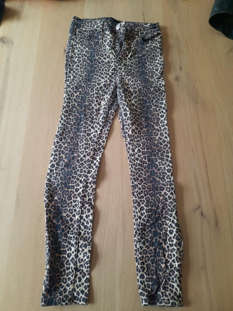 Prachtige Zara tijger broek maat 36, Ophalen of Verzenden