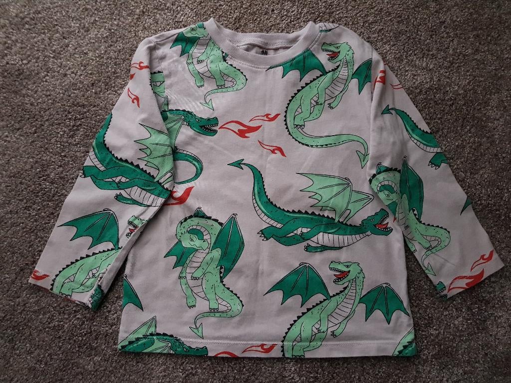 T-shirt voor jongens -- maat 98 / 104 -- H&M, Kinderen en Baby's, Kinderkleding | Maat 98, Zo goed als nieuw, Jongen, Shirt of Longsleeve