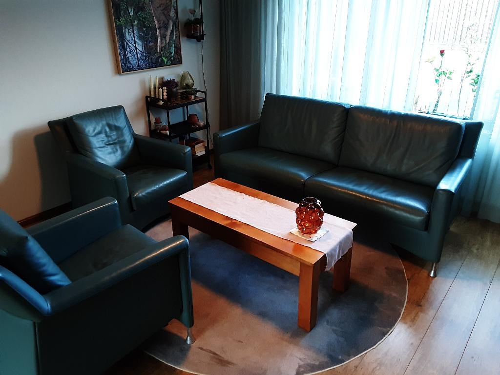 Leolux zithoek, Ophalen, Gebruikt, Leer