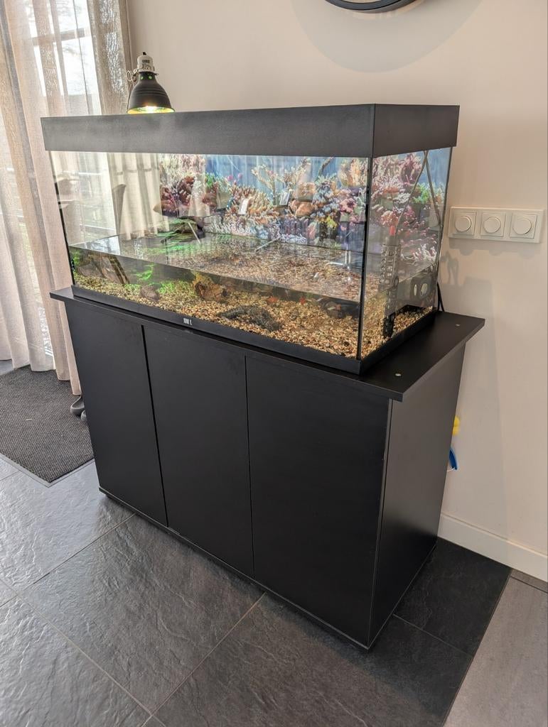 Juwel Aquarium met Aquarium kast Muskus schildpad en Vissen, Ophalen