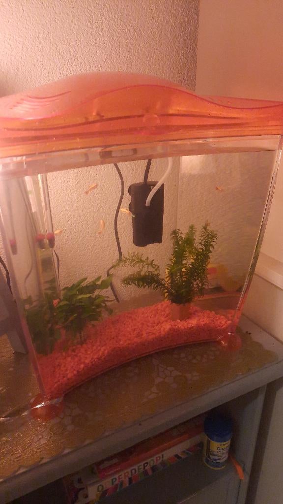 Aquarium 10 liter, Ophalen of Verzenden, Zo goed als nieuw, Leeg aquarium