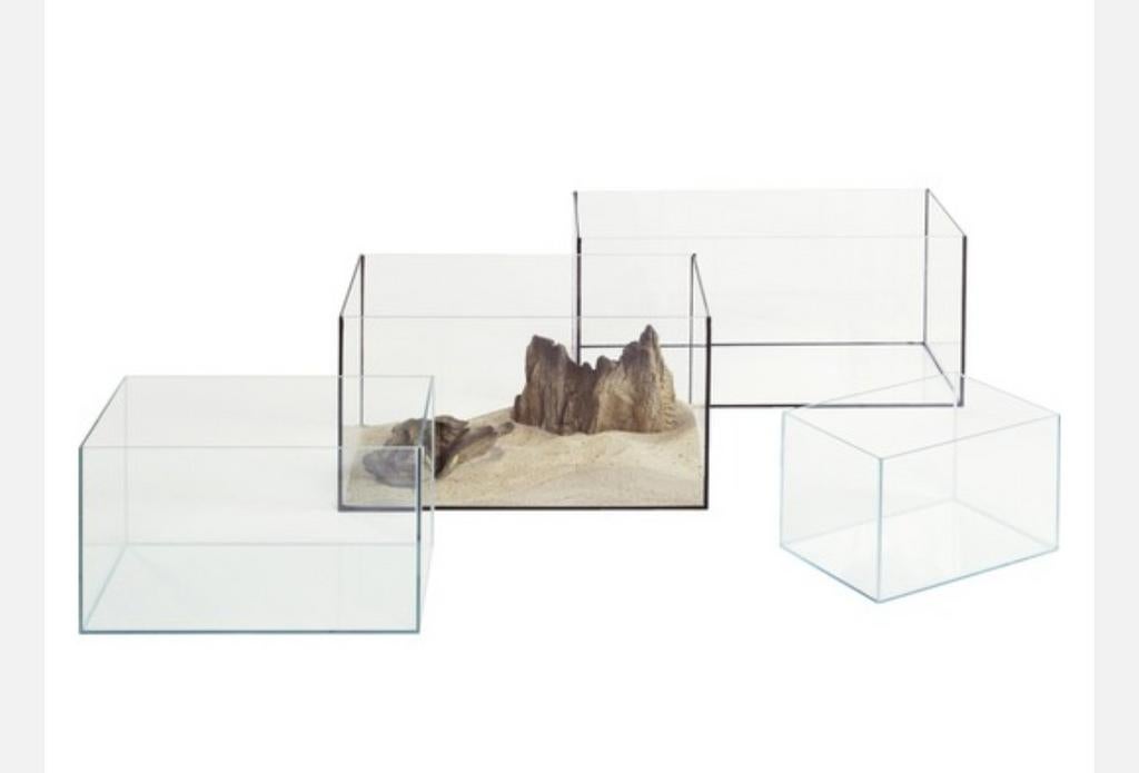 Aquarium, Dieren en Toebehoren, Ophalen of Verzenden, 110 cm of meer, Minder dan 65 cm