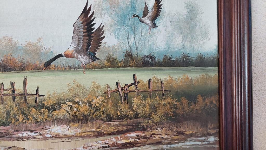 schilderij, eenden, Ophalen, 50 tot 75 cm, Zo goed als nieuw, Schilderij