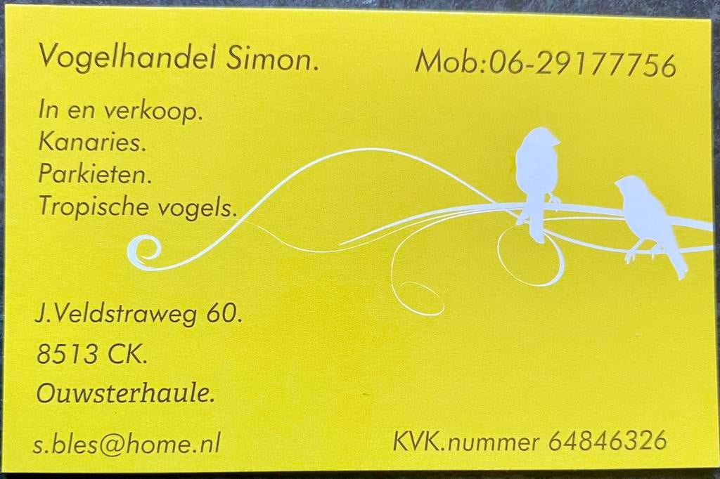 Gezocht meerdere vogels. Zie omschrijving, Meerdere dieren