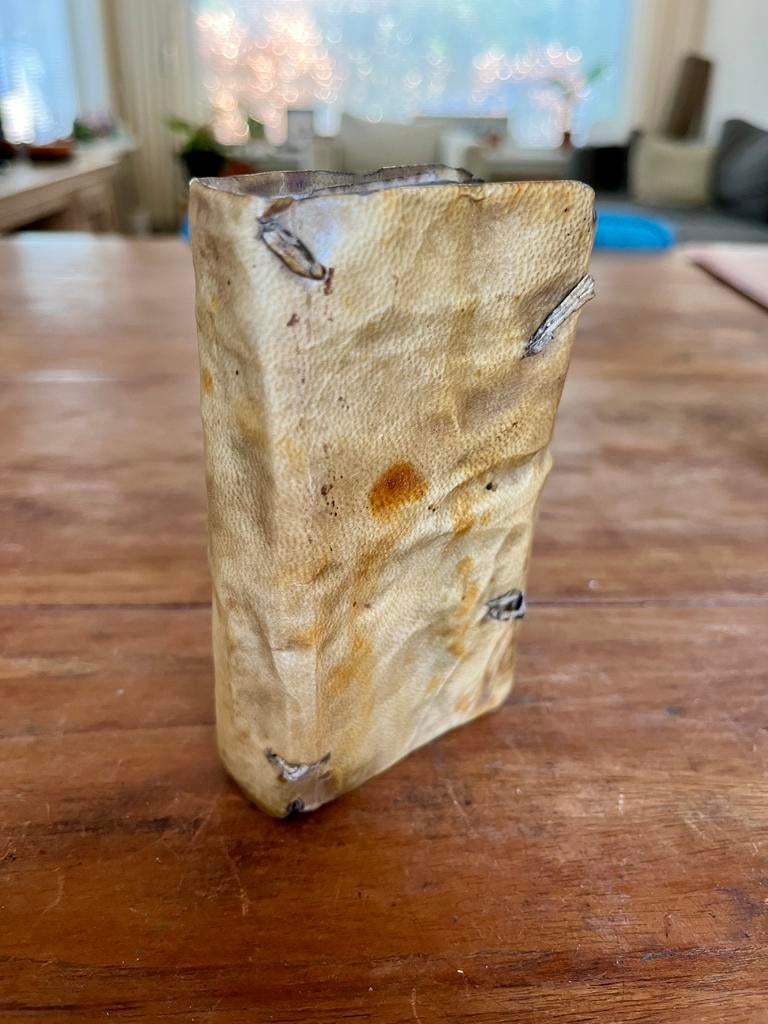 Twee zeldzame 17e-eeuwse Elzevier-drukken in een koop, Ophalen of Verzenden