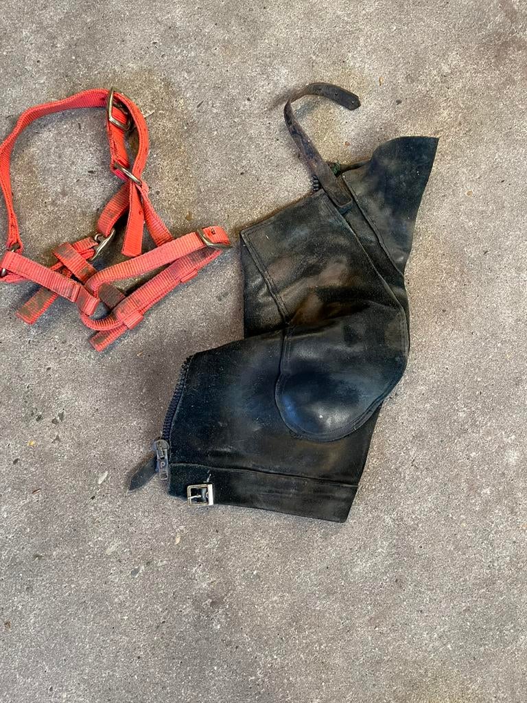 Paardentuig, Dieren en Toebehoren, Ophalen of Verzenden, Gebruikt