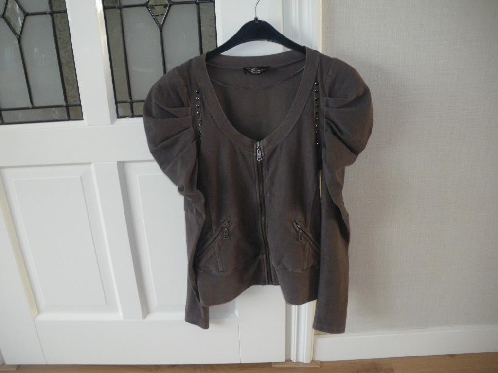 mooi grijs vest met pofmouw siersteentjes  38/40 anna scott, Ophalen of Verzenden, Zo goed als nieuw, Maat 38/40 (M), Grijs