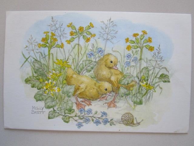 5 Kaart met kuikens  medici, Verzenden, 1980 tot heden, Gelopen, Natuur