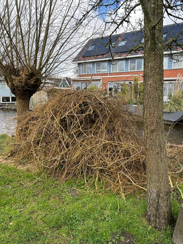 Gratis wilgentakken voor brandhout en tuin, Ophalen
