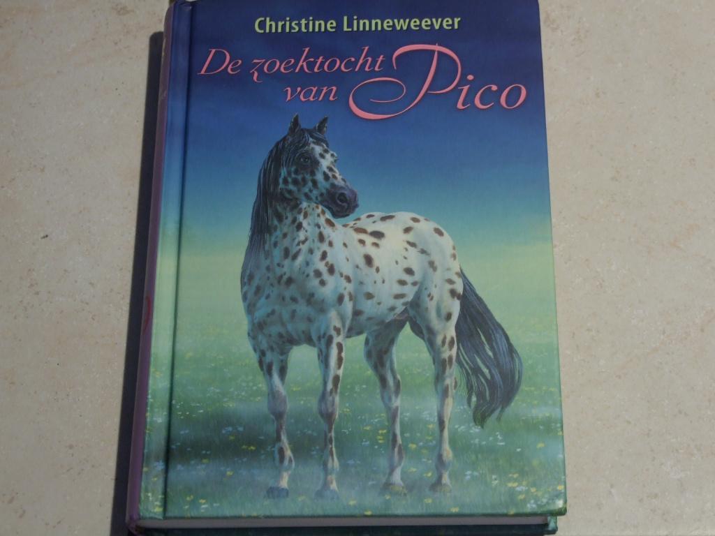 Gouden Paarden De zoektocht van Pico / Christine Linneweever, Boeken, Kinderboeken | Jeugd | onder 10 jaar, Zo goed als nieuw