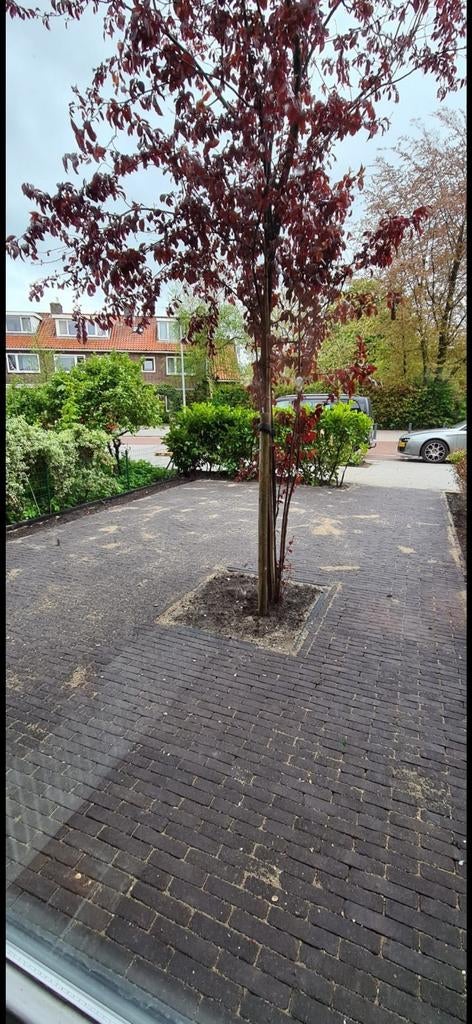 Gebakken getrommelde waaltjes donkergrijs / zwart circa 28m2, Ophalen, Gebruikt, Keramiek, Klinkers