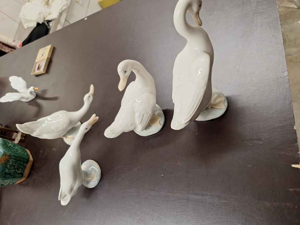 4 stuks nao en ladro zwaantjes, Ophalen of Verzenden, Zo goed als nieuw