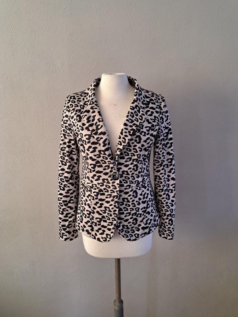 Blazer, Kleding | Dames, Jasjes, Kostuums en Pakken, Zwart, Ophalen of Verzenden, Jasje, Gedragen