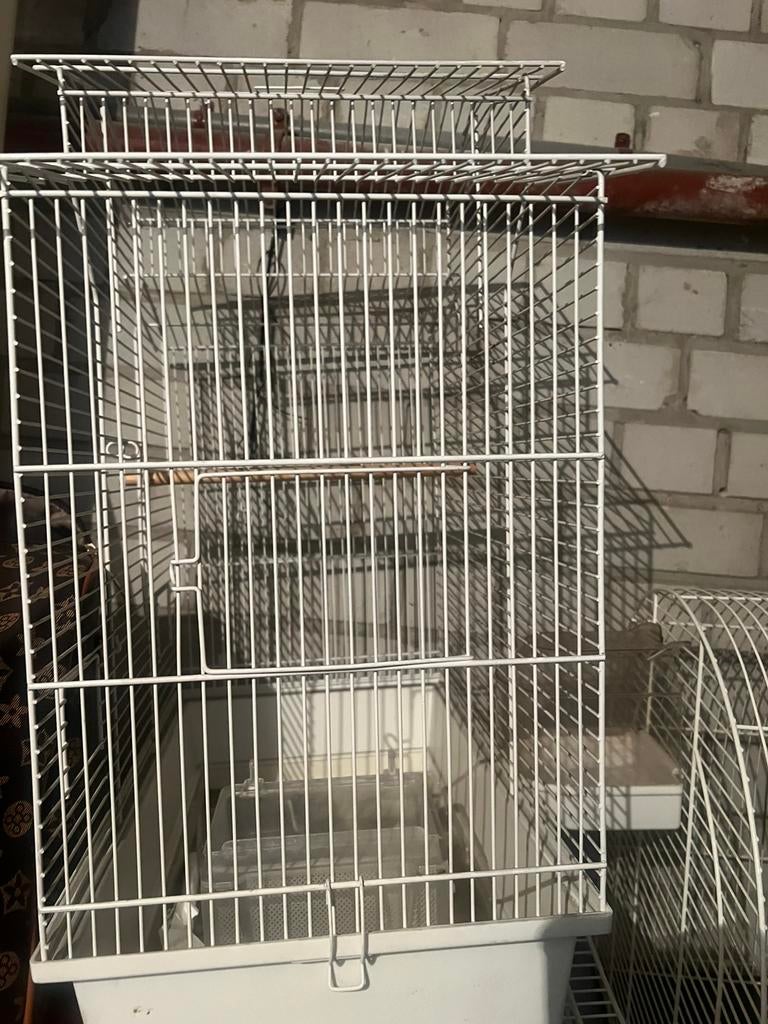 Vogelkooi, Ophalen of Verzenden, Zo goed als nieuw, Metaal, Vogelkooi