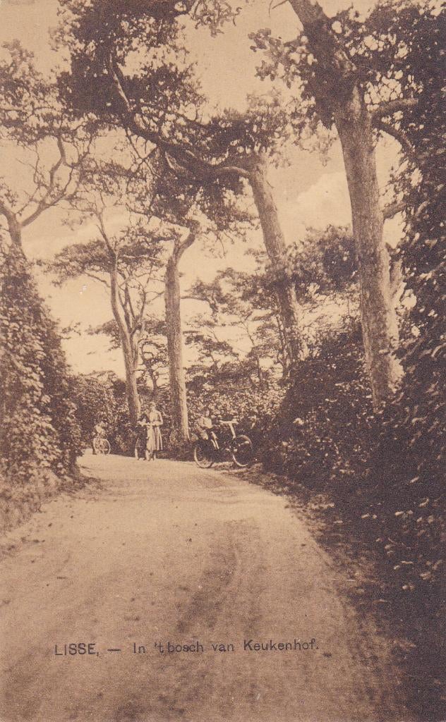 Lisse. In 't bosch van Keukenhof.  **, Verzenden, Voor 1920, Ongelopen, Zuid-Holland