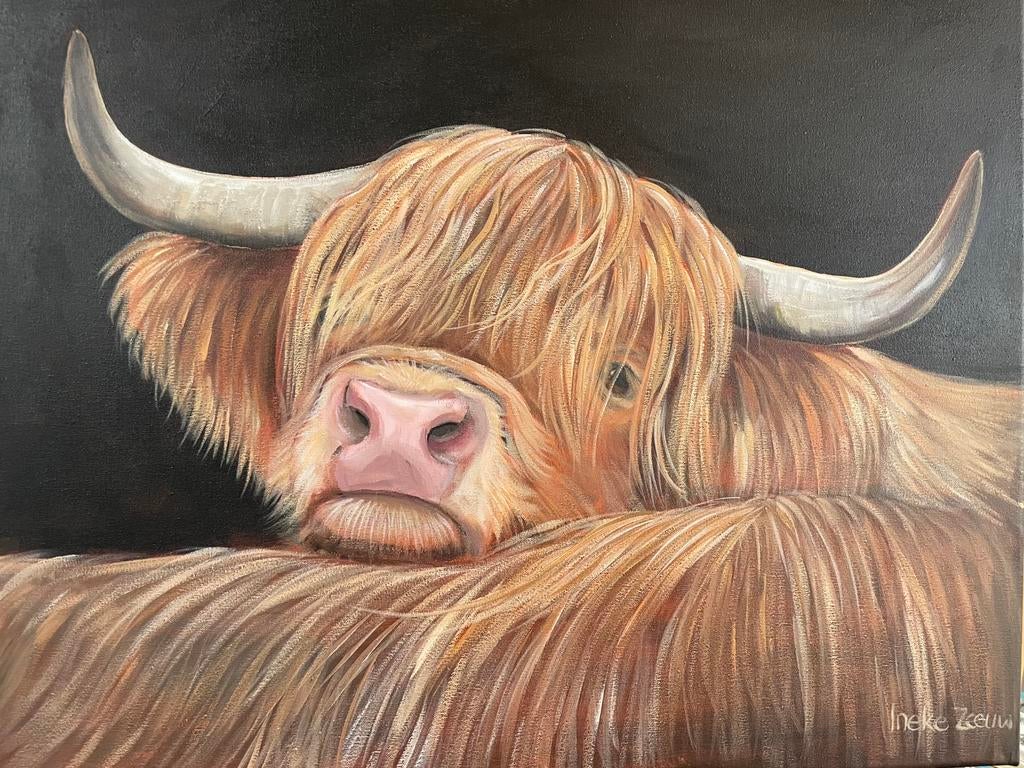 Schilderij schotse hooglander, Ophalen of Verzenden