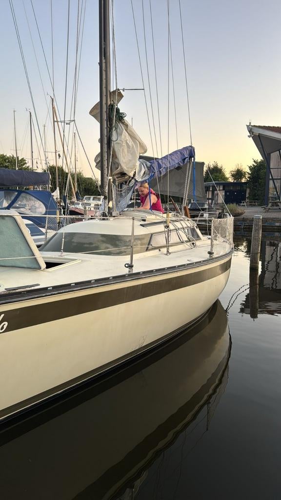 Friendship 26 zeiljacht 1980 in nette staat Friesland Heeg, Ophalen, Gebruikt, Diesel, Tourjacht of Cruiser