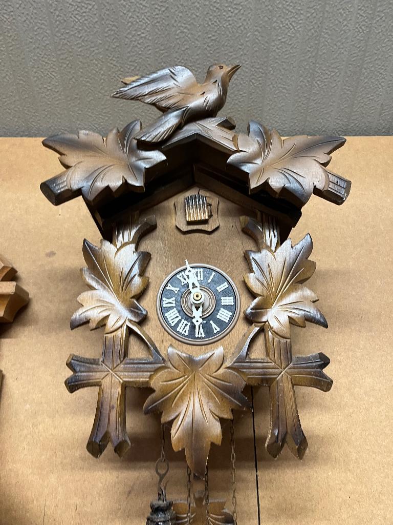 koekoeksklokje, Ophalen