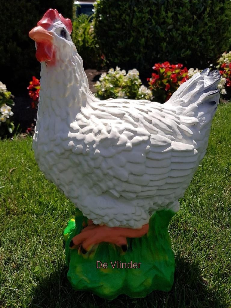 Mooie kip, Ophalen, Dierenbeeld, Onbekend, Nieuw