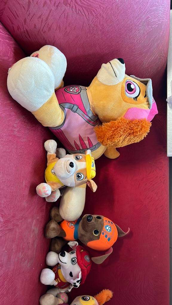 Paw patrol knuffles, Ophalen of Verzenden, Zo goed als nieuw, Hond