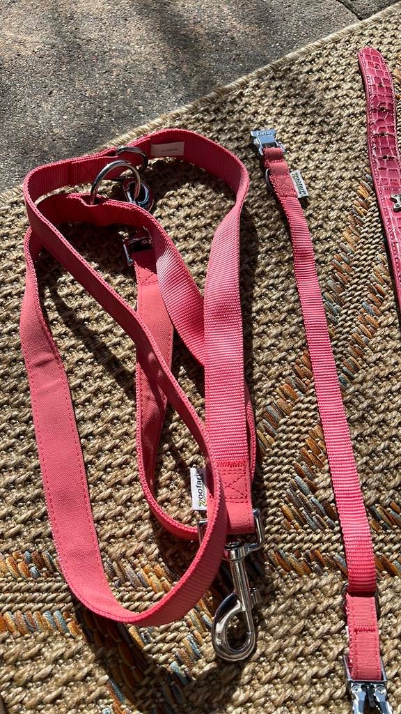 Nieuwe honden riem, Ophalen of Verzenden, Nieuw