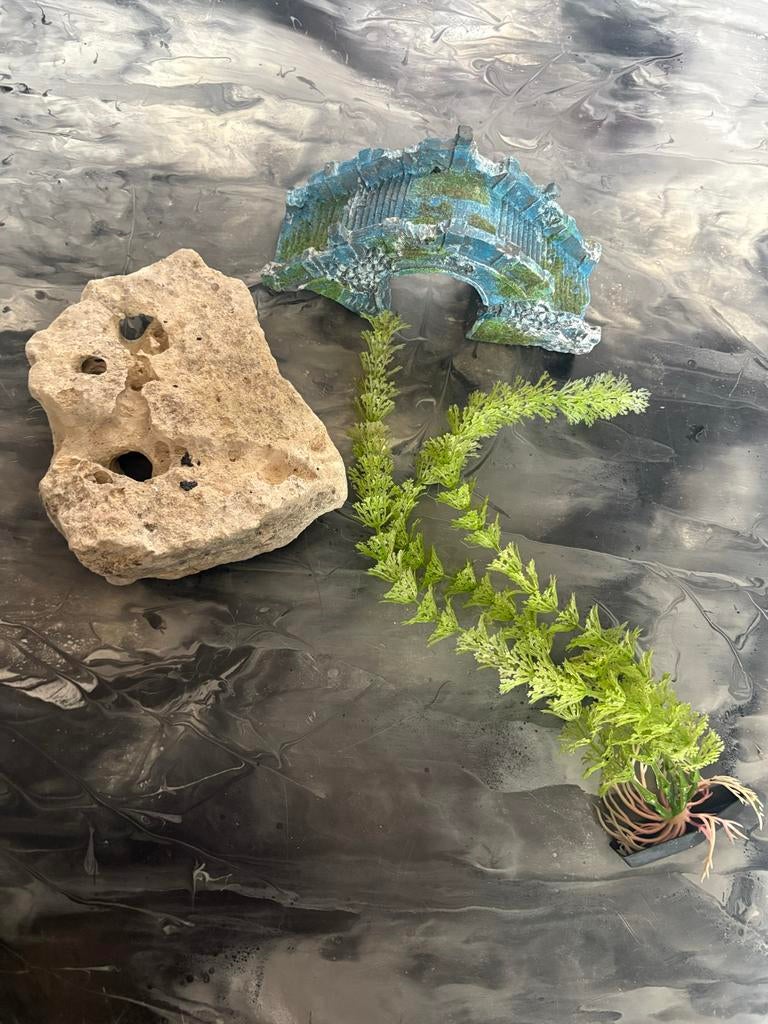 Ornamenten aquarium, Dieren en Toebehoren, Vissen | Aquaria en Toebehoren, Ophalen of Verzenden, Plant(en), Steen of Hout