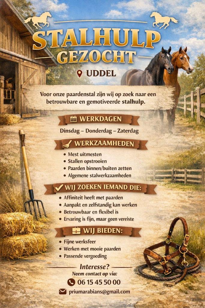 STAL HULP GEZOCHT - UDDEL, Overige niveaus, Starter, Overige vormen