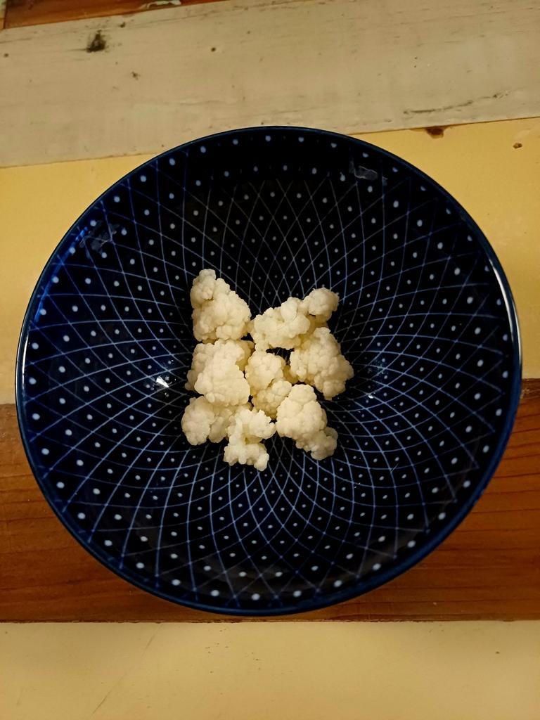 Kefir korrels, Ophalen