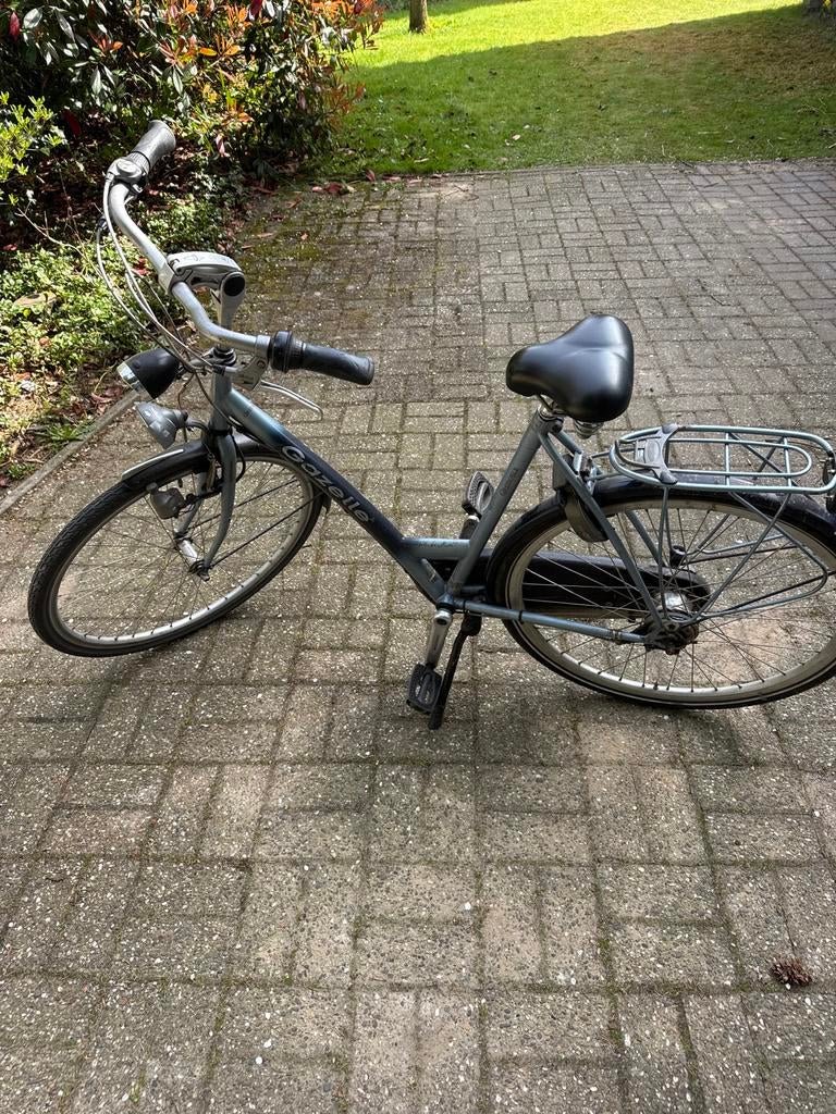 Gazelle damesfiets, Ophalen, Velgrem, Gazelle, 53 tot 56 cm