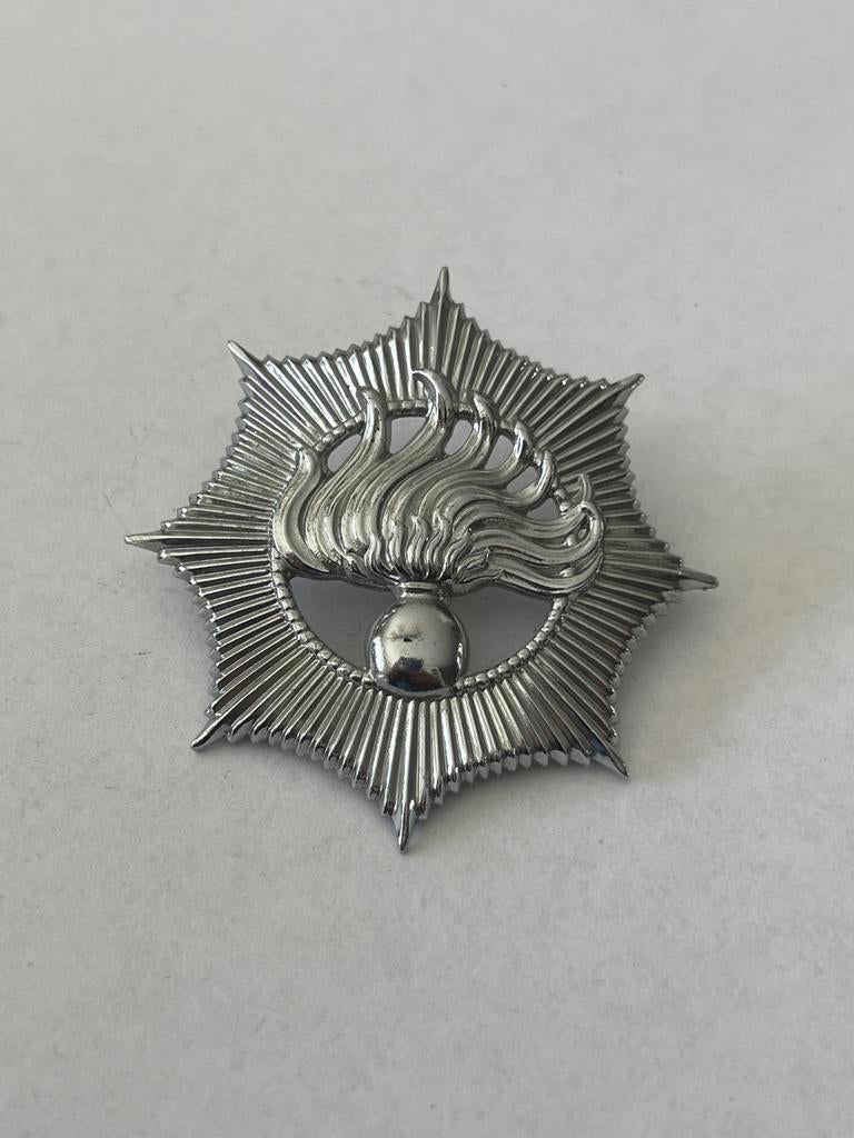 Embleem badge rijkspolitie politieagent, Verzamelen, Ophalen of Verzenden, Embleem of Badge