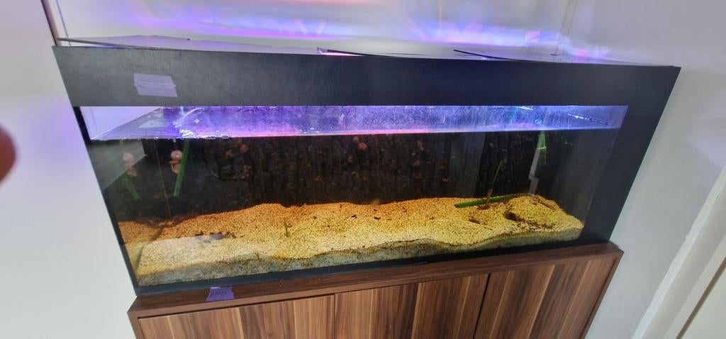 Compleet aquarium met externe filter en co2, Ophalen, Leeg aquarium