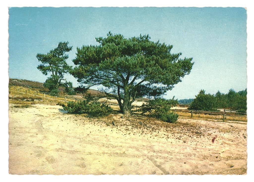 802374 Voorthuizen Gld 1970 Dennenoord  zegel Bevrijding, Ophalen of Verzenden, 1960 tot 1980, Gelopen, Gelderland