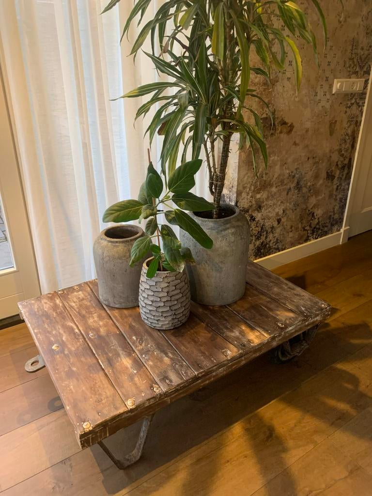 Industriele salontafel/ Platte (planten) kar / 110x80x28 cm, Ophalen, Gebruikt, 50 tot 100 cm, 100 tot 150 cm