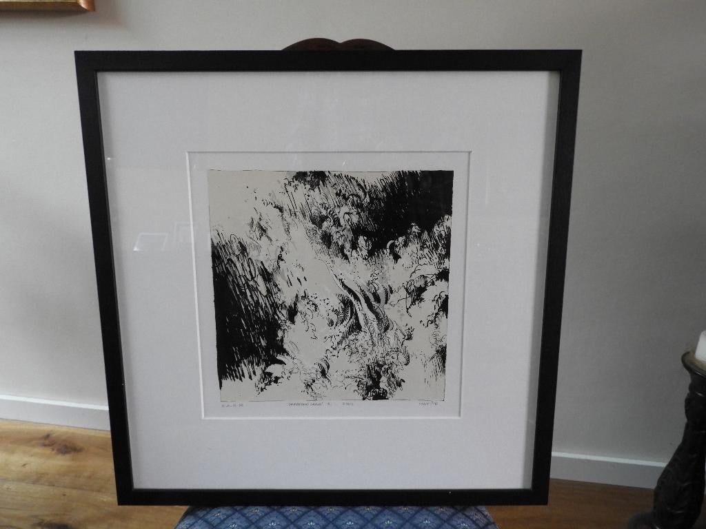 Zeefdruk - gesigneerd - Mattie Schilders - Onbekend land 5, Ophalen