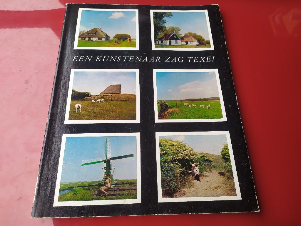 Een kunstenaar zag Texel, Ophalen of Verzenden, Gelezen