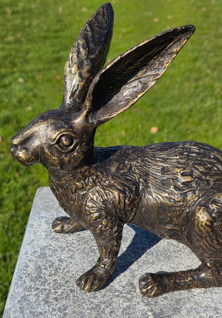 HAAS / bronzen tuinbeeld / brons, Dierenbeeld, Nieuw, Info@huisentuindecoratiemarie.nl, Huis en tuin decoratie marie