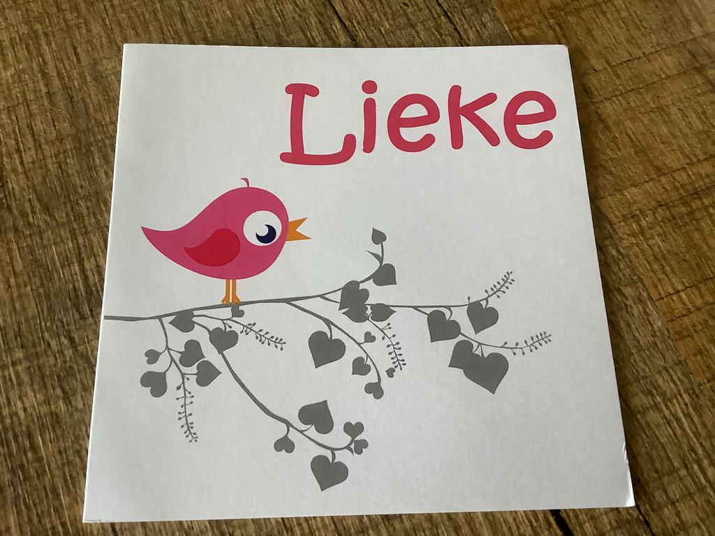 Lieke. 2012, Ophalen of Verzenden, 2000 tot heden