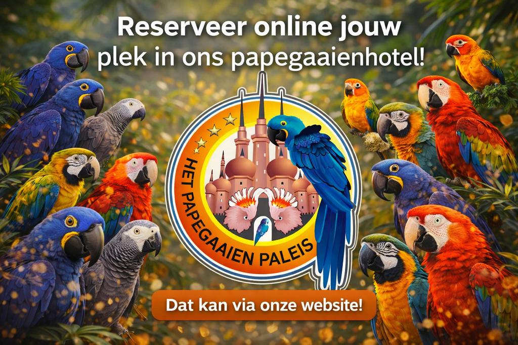 Papegaaienhotel, Meerdere dieren, Papegaai, Pratend