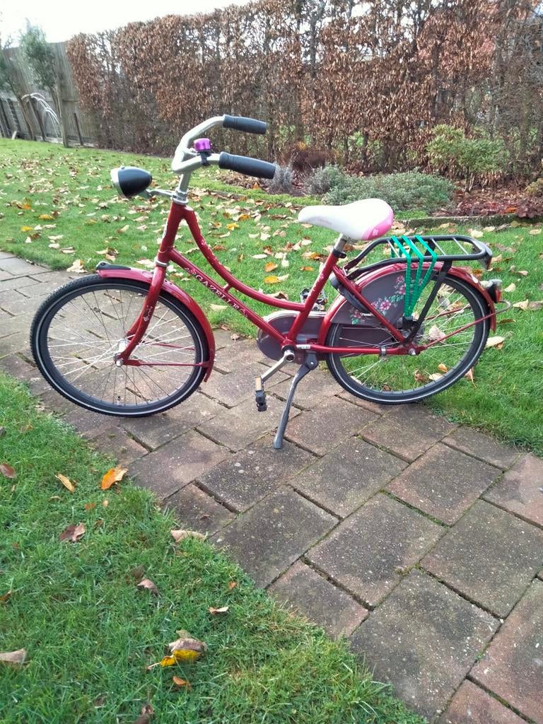 Gazelle, Fietsen en Brommers, Ophalen of Verzenden, Gebruikt, 20 inch of meer