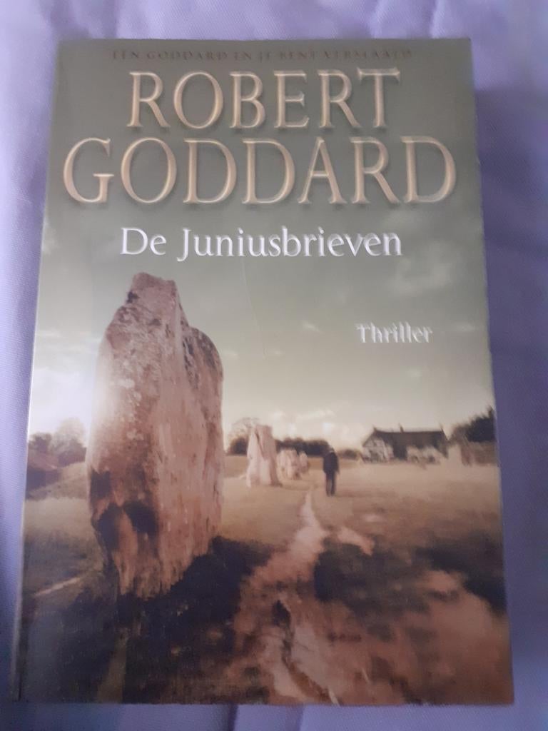 De Juniusbrieven - Robbert Goddart, Ophalen of Verzenden, Zo goed als nieuw