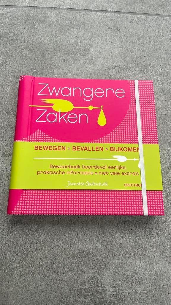 Jeanette Godtschalk - Zwangere zaken, Zwangerschap en Bevalling, Ophalen of Verzenden, Zo goed als nieuw, Jeanette Godtschalk