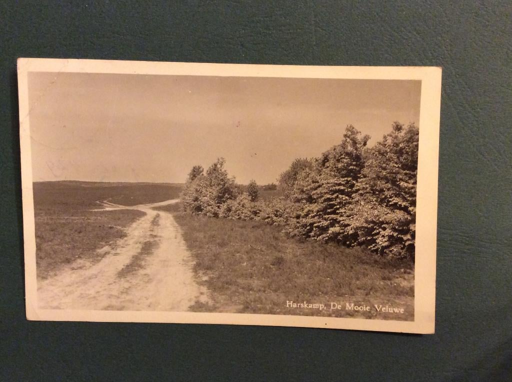 Harskamp, De mooie Veluwe, Verzenden, 1940 tot 1960, Gelopen, Gelderland